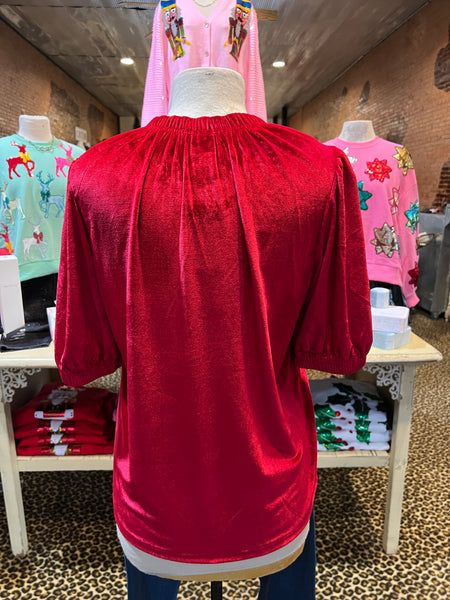 Velvet Rouched Neck Top